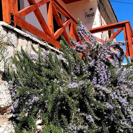 The Nest Filoxenia