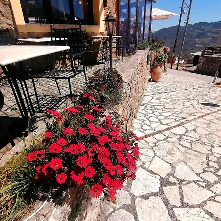 The Nest Filoxenia Kato Sinikia Trikalon